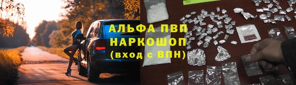 шишки Беломорск
