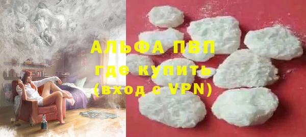 шишки Беломорск