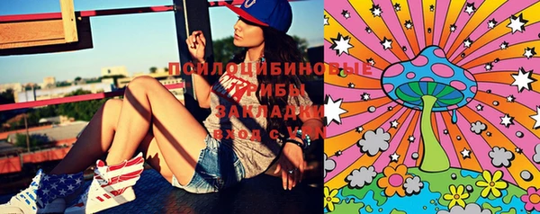 шишки Беломорск
