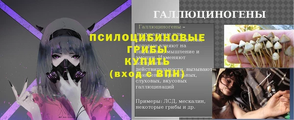 шишки Беломорск