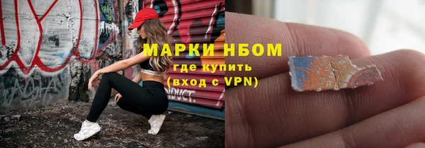 шишки Беломорск