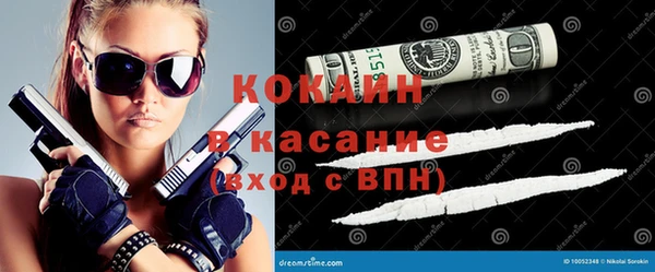 шишки Беломорск