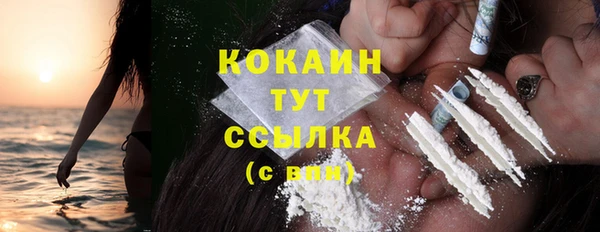 шишки Беломорск