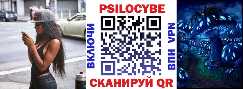 Галлюциногенные грибы Psilocybine cubensis купить цена Буинск
