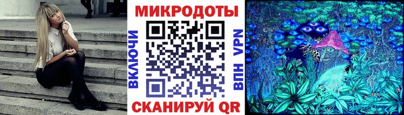 Галлюциногенные грибы Psilocybe Буинск